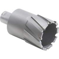 Couteau annulaire avec coupe &agrave; &acirc;me, Diam&egrave;tre de 1/2", Carbure, Profondeur de la coupe de 2", Tige 3/4" Toolneeds Inc.