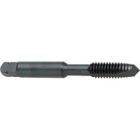 Taraud &agrave; entr&eacute;e h&eacute;licoidale, Acier rapide au cobalt, Filet de 8-32, 2-1/8" l Toolneeds Inc.