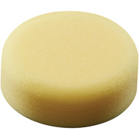 Polishing Pad, 3" Dia. Toolneeds Inc.