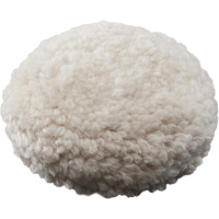 Cutting Pad, 3" Dia. Toolneeds Inc.