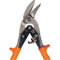 Compound Action Snips Toolneeds Inc.