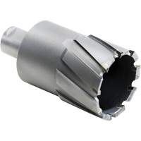Outil de coupe annulaire, Diam&egrave;tre de 27,5 mm, Carbure, Profondeur de la coupe de 4" Toolneeds Inc.