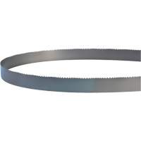 Welded Bandsaw Blade, Bi-Metal, 14' L x 1" W x 4 - 6 TPI Toolneeds Inc.