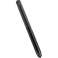 Taraud &agrave; entr&eacute;e h&eacute;licoidale, Acier rapide au cobalt, Filet de M10x1, 2-15/16" l Toolneeds Inc.