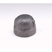 Cap, 1-1/2", Malleable Iron Toolneeds Inc.