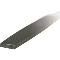 Lime d'usinage, Plat, 6", B&acirc;tarde Toolneeds Inc.