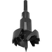 Foret autoaliment&eacute;, 4-1/8" Toolneeds Inc.
