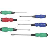 TDSS-6 Jeu de tournevis Torque Drive, 6 mcx, Magn&eacute;tique Toolneeds Inc.