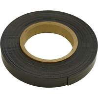 Bandes magn&eacute;tiques, 100' lo x 1" la, &eacute;paisseur 1/16", Force de 6 lb par pi lin. Toolneeds Inc.