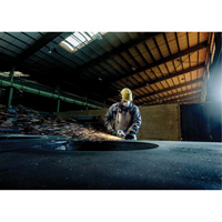 Meuleuse &agrave; angle, 7", 120 V, 8450 Tr/min Toolneeds Inc.