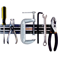 Porte-outils magn&eacute;tiques, 12" lo x 2" la Toolneeds Inc.