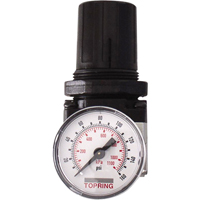 Regulators, 1/4" NPT, 150 PSI Max. PSI, Modular Toolneeds Inc.
