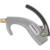 Lazer&reg; Series Palm Air Guns Toolneeds Inc.