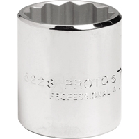 12 Point Socket Toolneeds Inc.