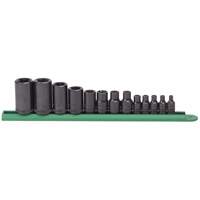 External Torx&reg; Socket Set, 1/2"/1/4"/3/8" Drive Toolneeds Inc.