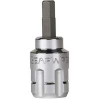 Pass-Thru SAE/Metric Bit Socket Set, Hex/Phillips/Slot/Torx&reg;, 1/4"/3/8" Drive, 39 Pcs Toolneeds Inc.