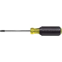 Tournevis Klein a/manche caoutchout&eacute;-Tournevis Torx &agrave; tige ronde Toolneeds Inc.