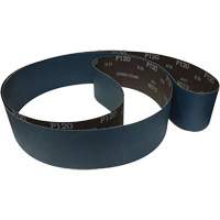 Sanding Belt, 60 Grit Toolneeds Inc.
