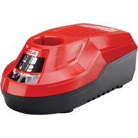 M4 Charger, 4 V, Lithium-Ion Toolneeds Inc.