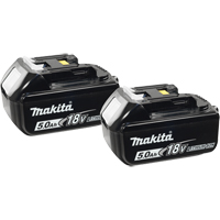 Blocs-piles, Lithium-ion, 18 V, 5,0 A Toolneeds Inc.