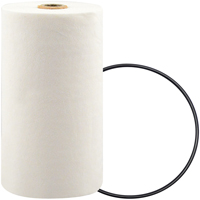 P7247 Filtre pour liquide de refroidissement &agrave; visser avec additif BTE Toolneeds Inc.