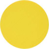 Non-Vacuum Backing Pad Toolneeds Inc.