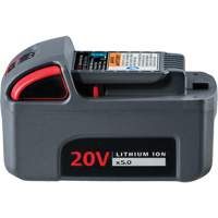 Pile haute capacit&eacute; IQV20, Lithium-ion, 20 V, 5 Ah Toolneeds Inc.