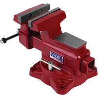 &eacute;tau d'&eacute;tabli utilitaire HD, Largeur des m&acirc;choires 6-1/2", Profondeur de la gorge 4-1/4" Toolneeds Inc.