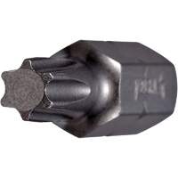 Insert Bit, Torx, 6, 1/4" Drive Toolneeds Inc.