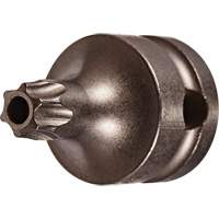 Embout &agrave; ins&eacute;rer, Torx inviolable, 25 x 1" lo, Prise 3/8" Toolneeds Inc.