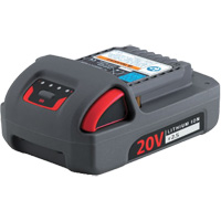 Batterie de s&eacute;rie IQV20, Lithium-ion, 20 V, 2,5 Ah Toolneeds Inc.