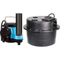 Drainosaur&reg; Sump Pump, 29 GPM, 115 V, 9 A, 1/3 HP Toolneeds Inc.