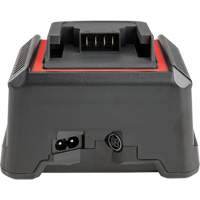 2.5 Ah & 5.0 Ah Battery Charger, 120 V, Lithium-Ion Toolneeds Inc.