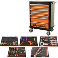 Ensemble d'outils pour m&eacute;canicien automobile avec armoire roulante, 125 morcea Toolneeds Inc.