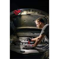 Projecteur d'illumination montable M12 ROVER, DEL, 250 W, 1000 lumens Toolneeds Inc.