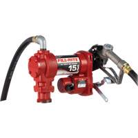 Heavy-Duty Fuel Transfer Pump with Manual Nozzle Toolneeds Inc.