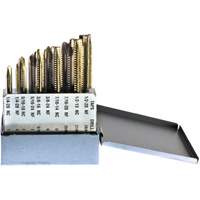 Drillco&reg; Tap Set, 10 Pieces Toolneeds Inc.