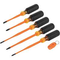 Slim-Tip Insulated Screwdriver Set, 1000 V, 6 Pcs Toolneeds Inc.