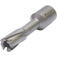 Core Cut Annular Cutter with Weldon Shank, 12 mm Diameter, Carbide, 30 mm Depth of Cut, 3/4" Shank Toolneeds Inc.