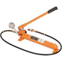 Pump & Hose Assembly - Replacement Pump Toolneeds Inc.