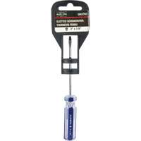 Tournevis &agrave; fente bleu transparent avec bandes , Tige de 1/8", Ronde, Prise en Plastique Toolneeds Inc.