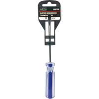 Tournevis &agrave; fente bleu transparent avec bandes, Tige de 3/16", Ronde, Prise en Plastique Toolneeds Inc.
