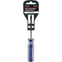 Tournevis Philips bleu transparent avec bandes, #1, Prise Plastique Toolneeds Inc.