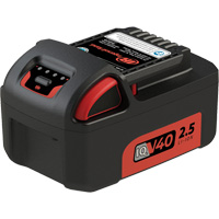 Bloc-pile, Lithium-ion, 40 V Toolneeds Inc.