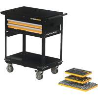 Mechanics Tool Set in Modular Foam Trays with Storage Unit, 194 Pieces Toolneeds Inc.