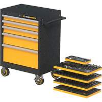 Mechanics Tool Set in Modular Foam Trays with Storage Unit, 247 Pieces Toolneeds Inc.