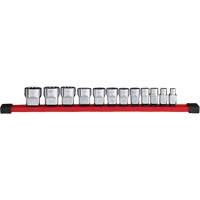 12-Point SAE Socket Set, 12 Pcs, 3/8" Drive Size Toolneeds Inc.