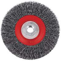 5C14T High Performance Crimped Wire Brush, 5" Dia., 0.014" Fill, 5/8"-11NC Arbor Toolneeds Inc.