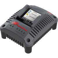 IQV20 Compact Battery Charger, 20 V, Lithium-Ion Toolneeds Inc.
