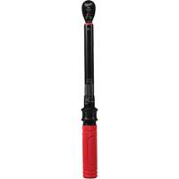 Cl&eacute; dynamom&eacute;trique, &agrave; cliquer, Entraînement 3/8" carr&eacute;, 20 - 100 lb-po/27,1 - 135,6 Nm Toolneeds Inc.